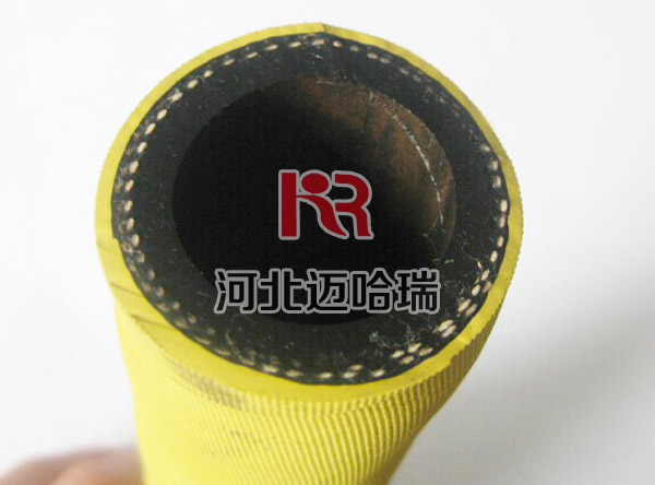 ���S�ö�����̼�z�� BCG