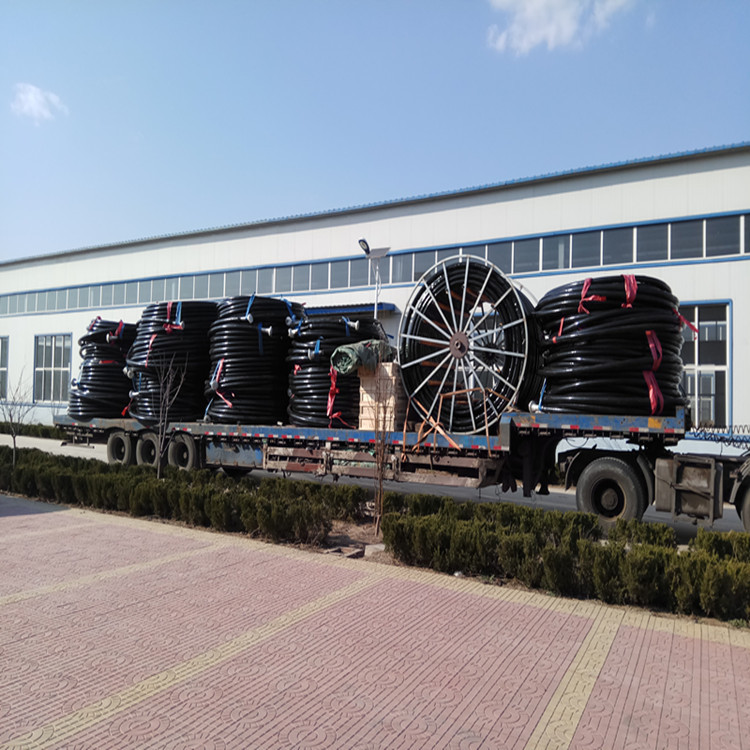 4334547295_2027746244.jpg 4334547295_2027746244.jpg